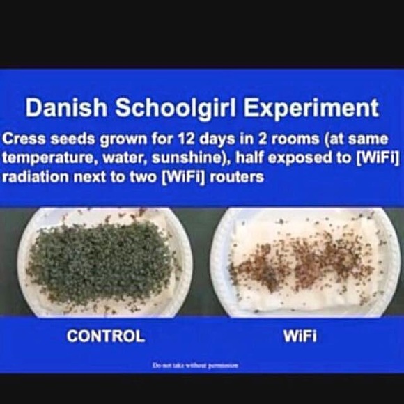 Reach out for offers :) - Picture 7 of 12